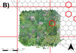 Technical Workflow Development for Integrating Drone Surveys and Entomological Sampling to Characterise Aquatic Larval Habitats of Anopheles funestus in Agricultural Landscapes in Côte d’Ivoire